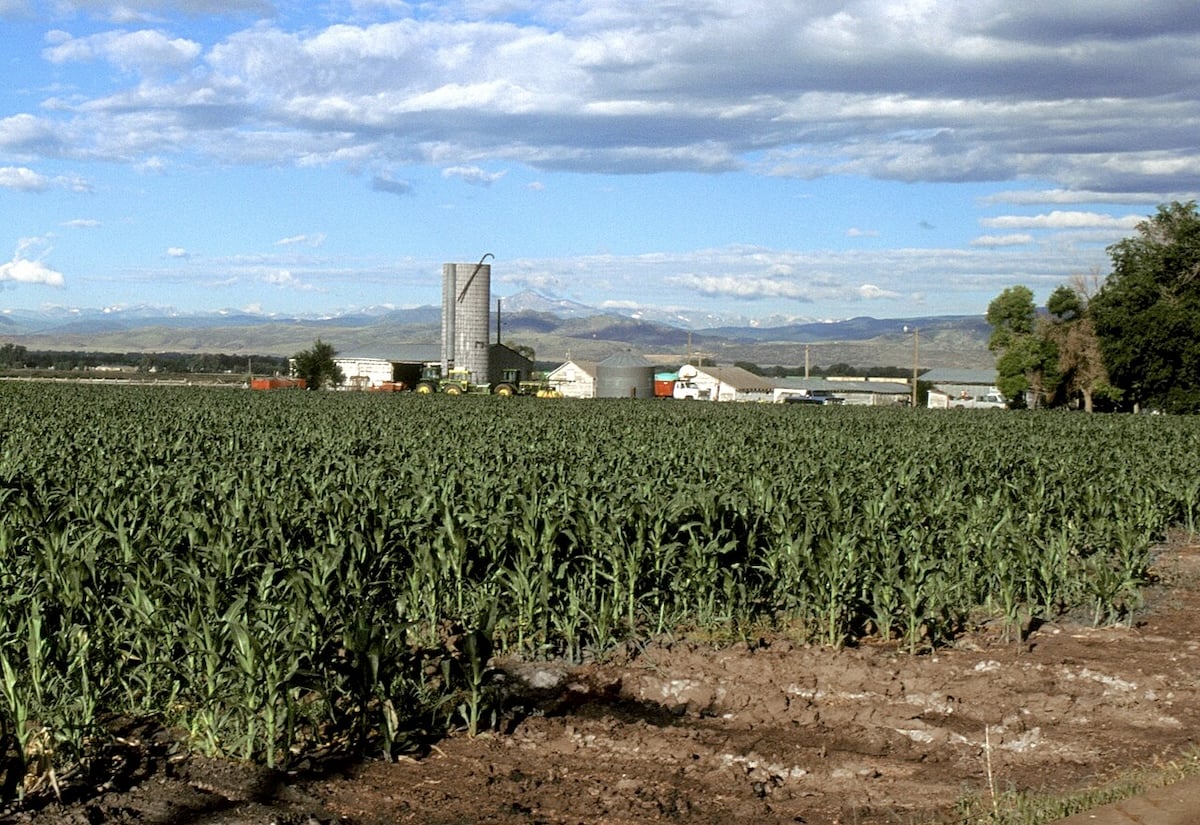 These are the 25 Most Dangerous Small Towns in Colorado You Need to Know About (2025)
