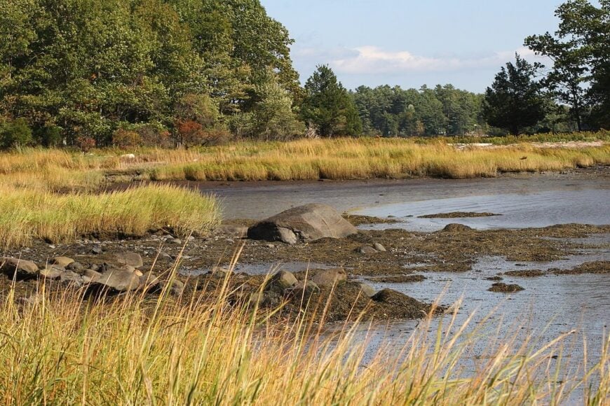 The current image has no alternative text. The file name is: Great_Bay_National_Wildlife_Refuge_4149550669.jpg