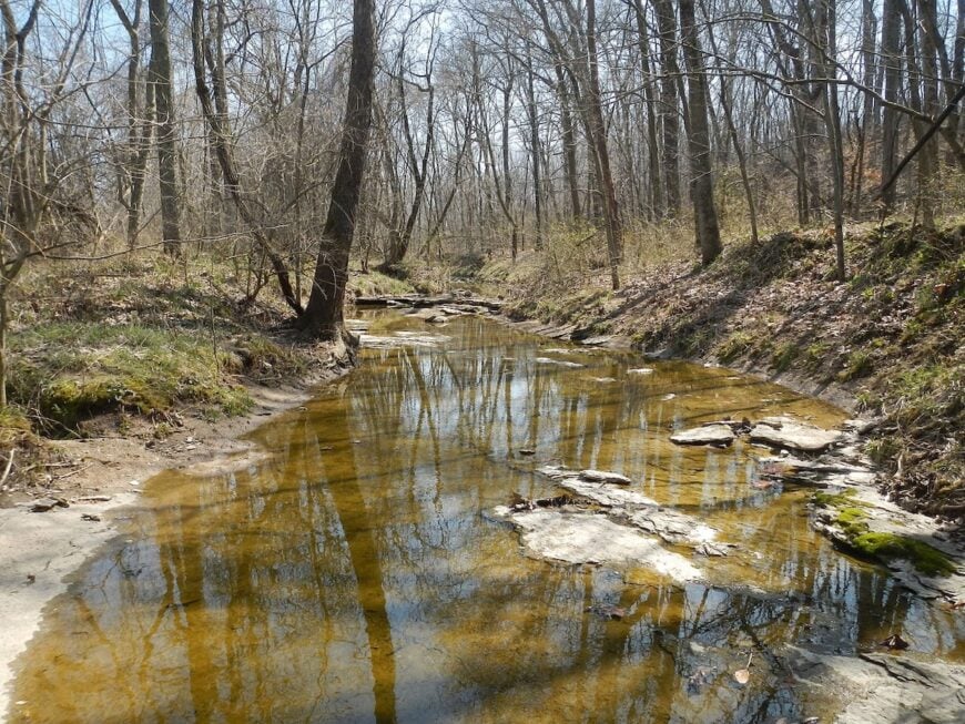 The current image has no alternative text. The file name is: Kaskaskia_River_tributary.jpeg