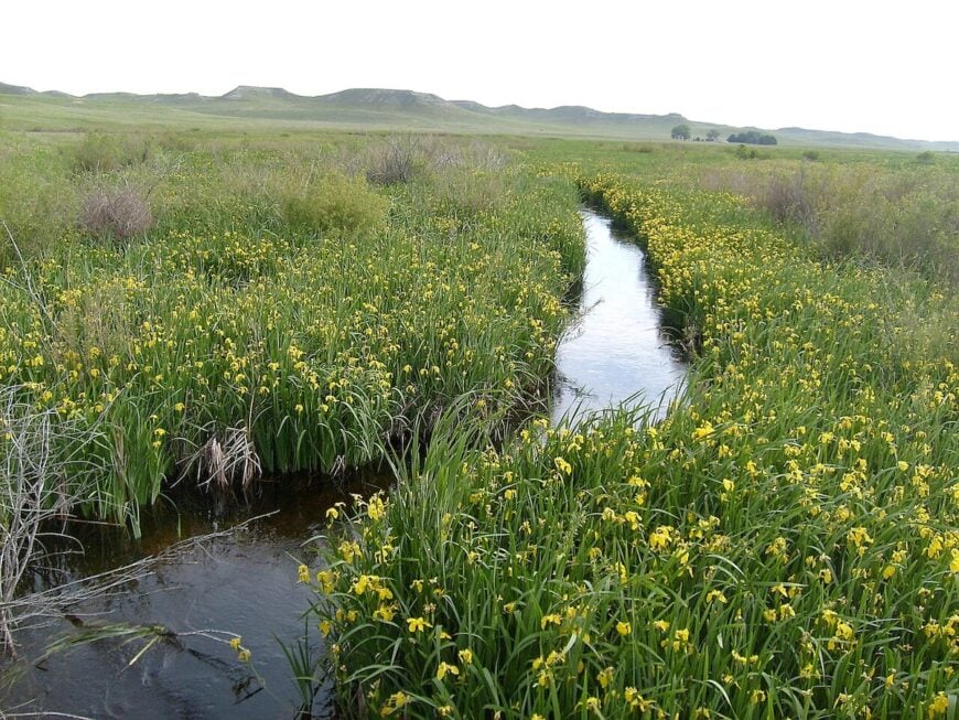 The current image has no alternative text. The file name is: Niobrara_headwaters.jpg