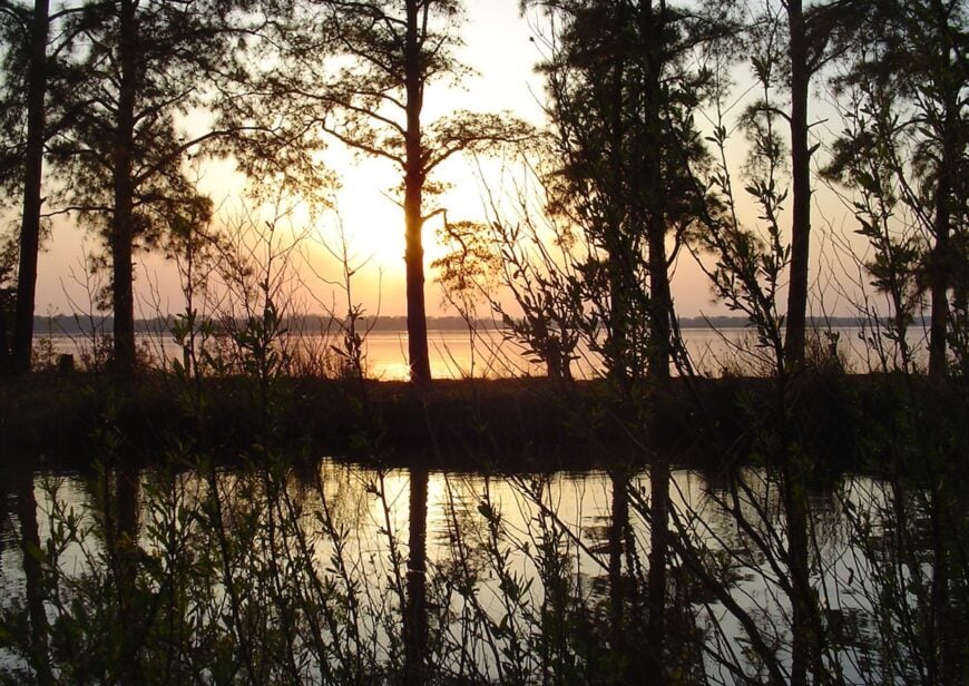 The current image has no alternative text. The file name is: Rappahannock_River_Valley_National_Wildlife_Refuge.jpg