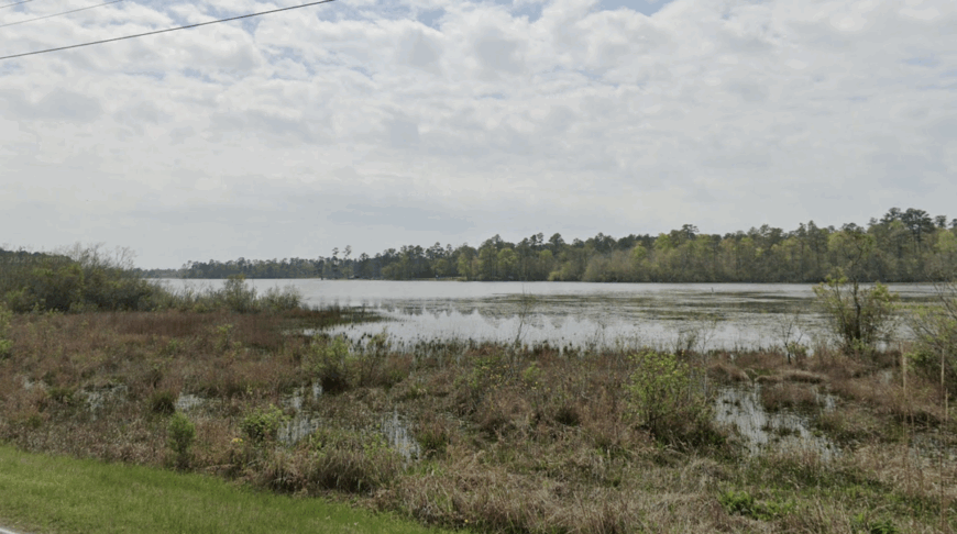 The current image has no alternative text. The file name is: Southeast-Mississippi.png