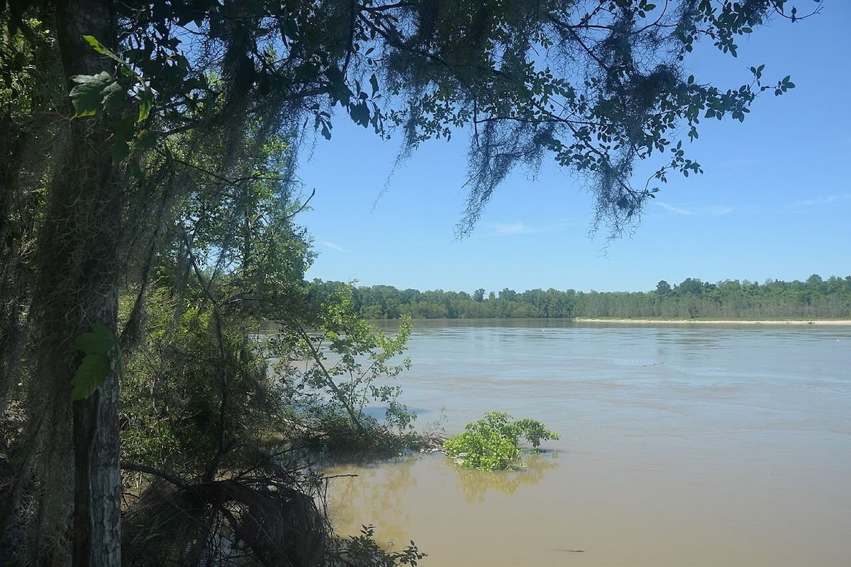 Exploring 25 Secluded Towns From the Trinity River Bottoms to the Big Thicket of Southeast Texas
