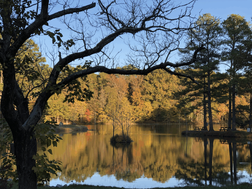 The current image has no alternative text. The file name is: Herb_Parsons_Lake_in_Autumn.png