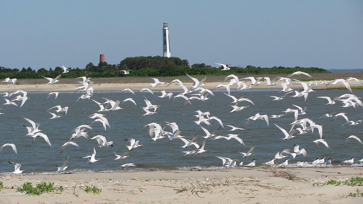 25 Secluded Towns Woven Into Southeast South Carolina’s Lowcountry