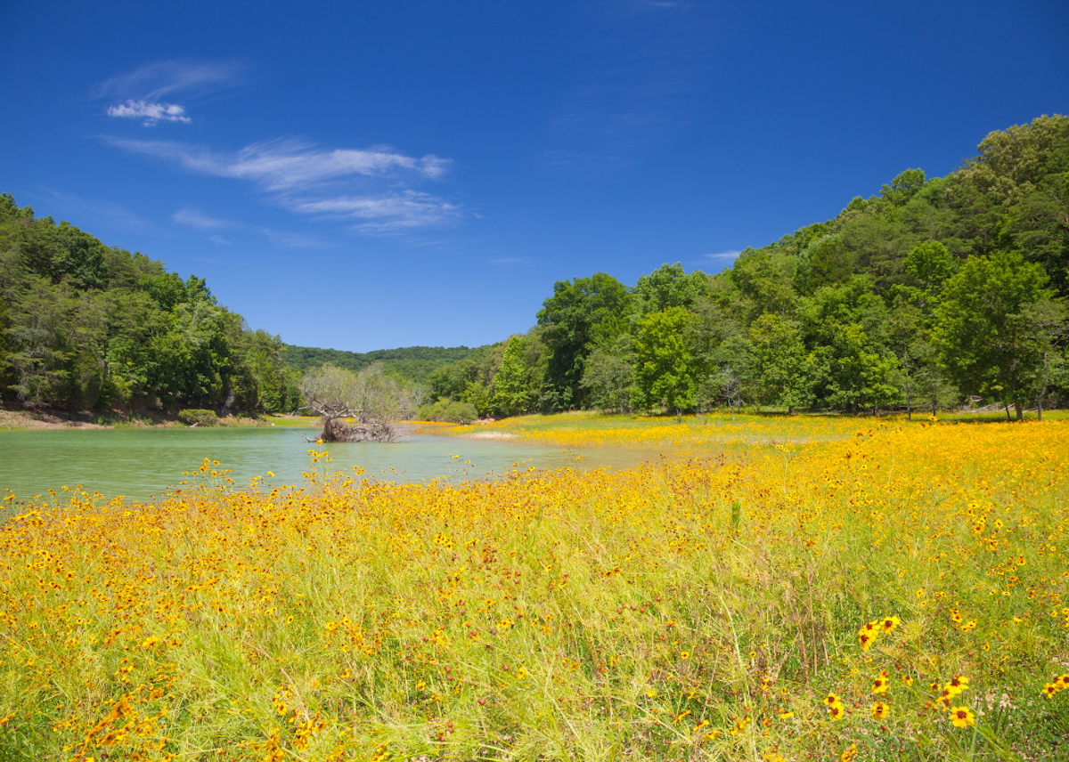 Tennessee’s 48 Counties with the Shortest Life Expectancy