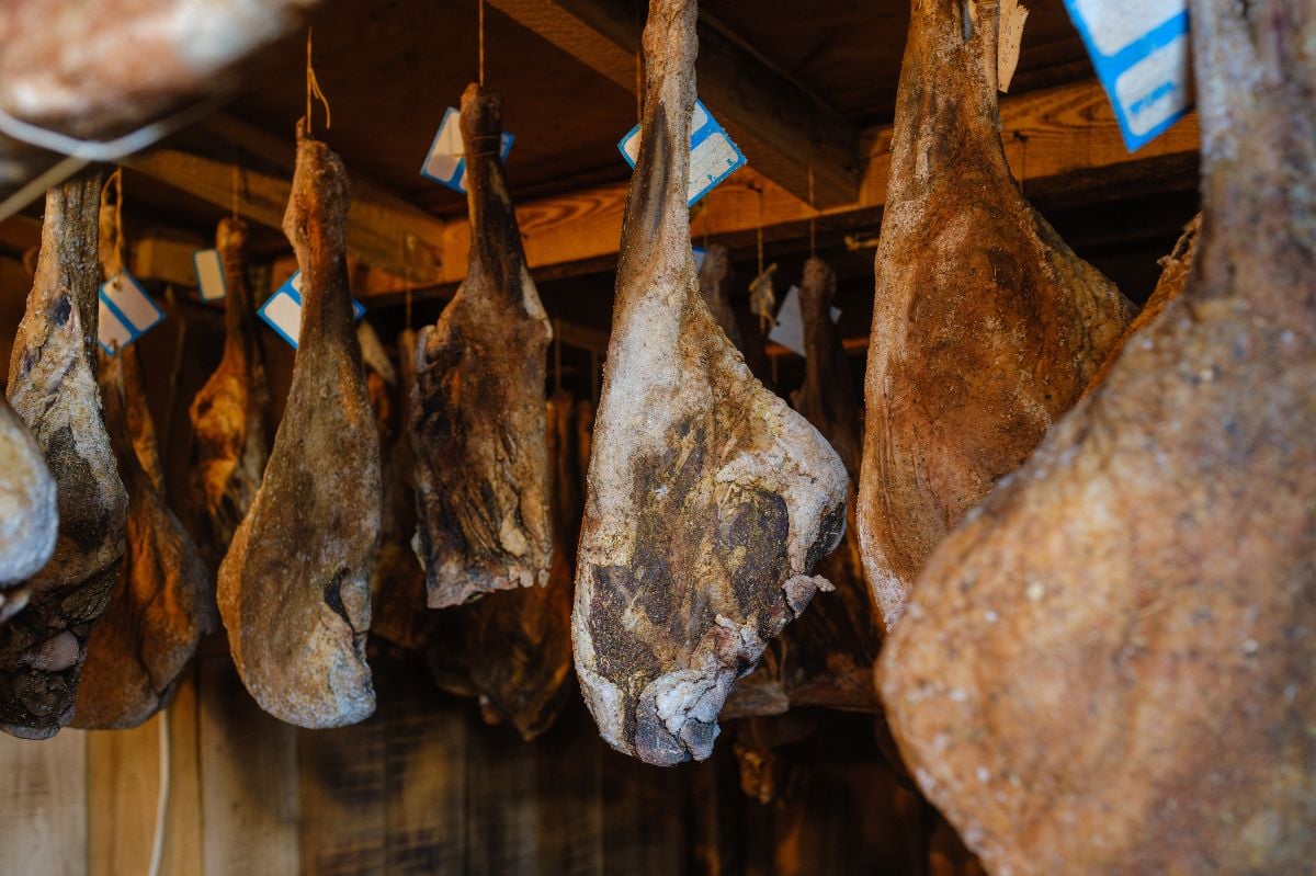 Aging hams hanging in a traditional curing room.