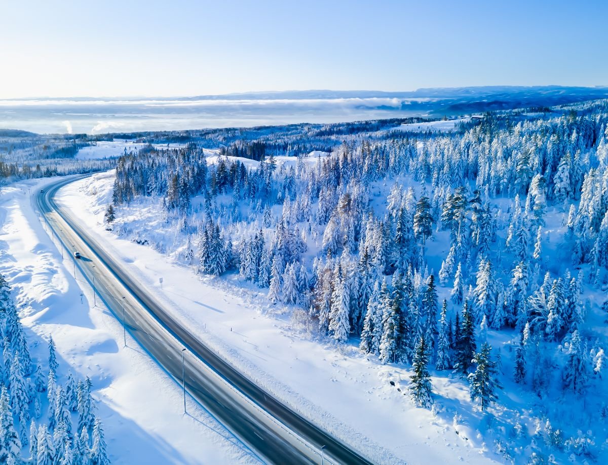 Highway with cars driving through a mountain pass with snow covered trees.