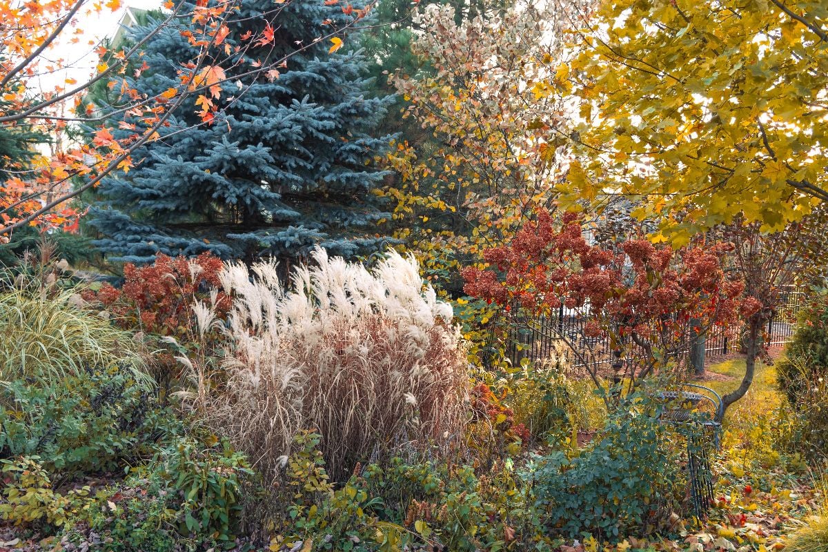 Autumn landscape of a four season garden.