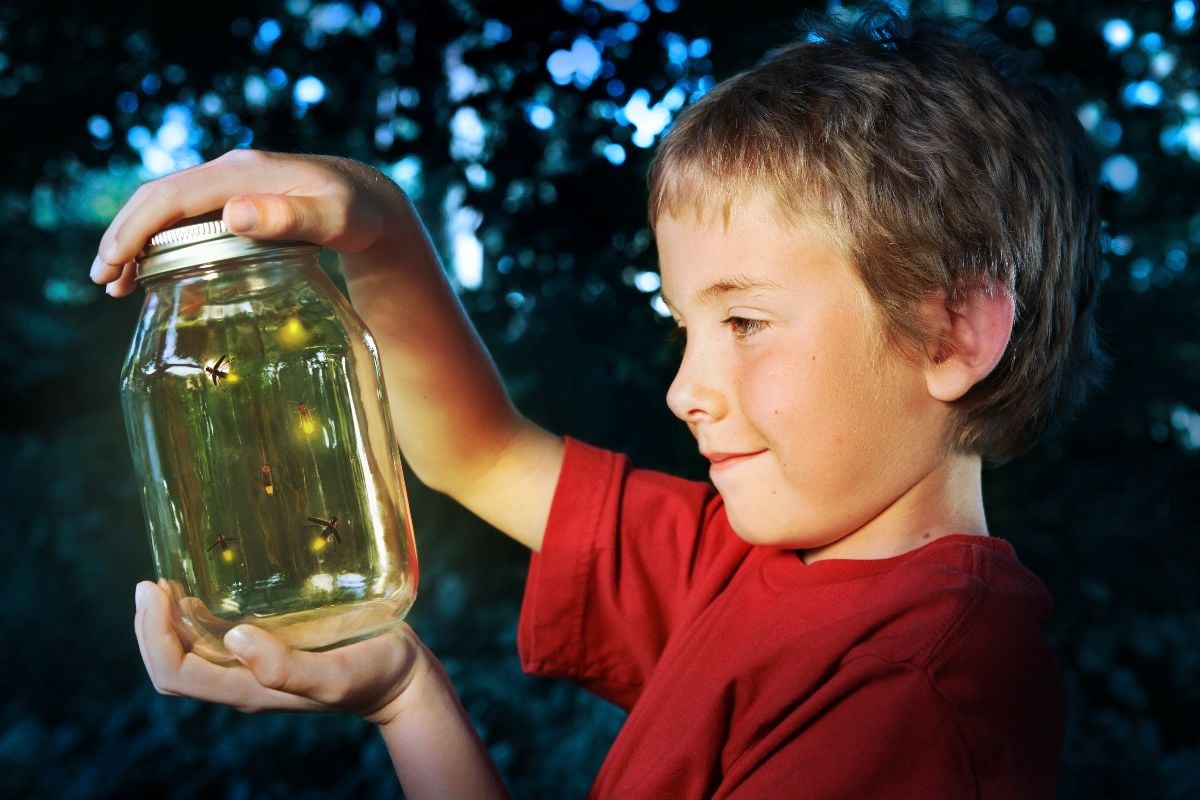 Boy with a jar of fireflies