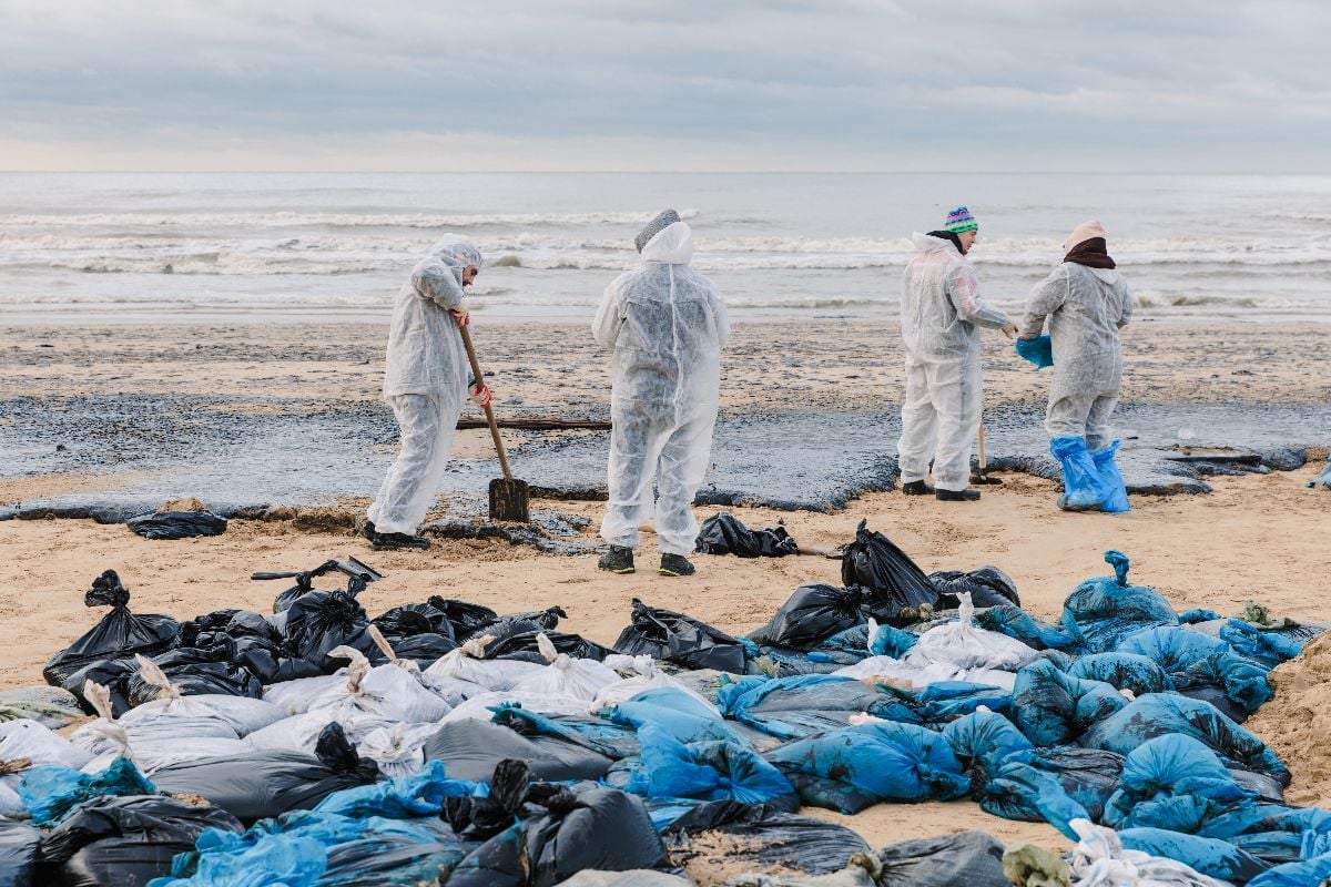 Volunteers clean sea coastline.