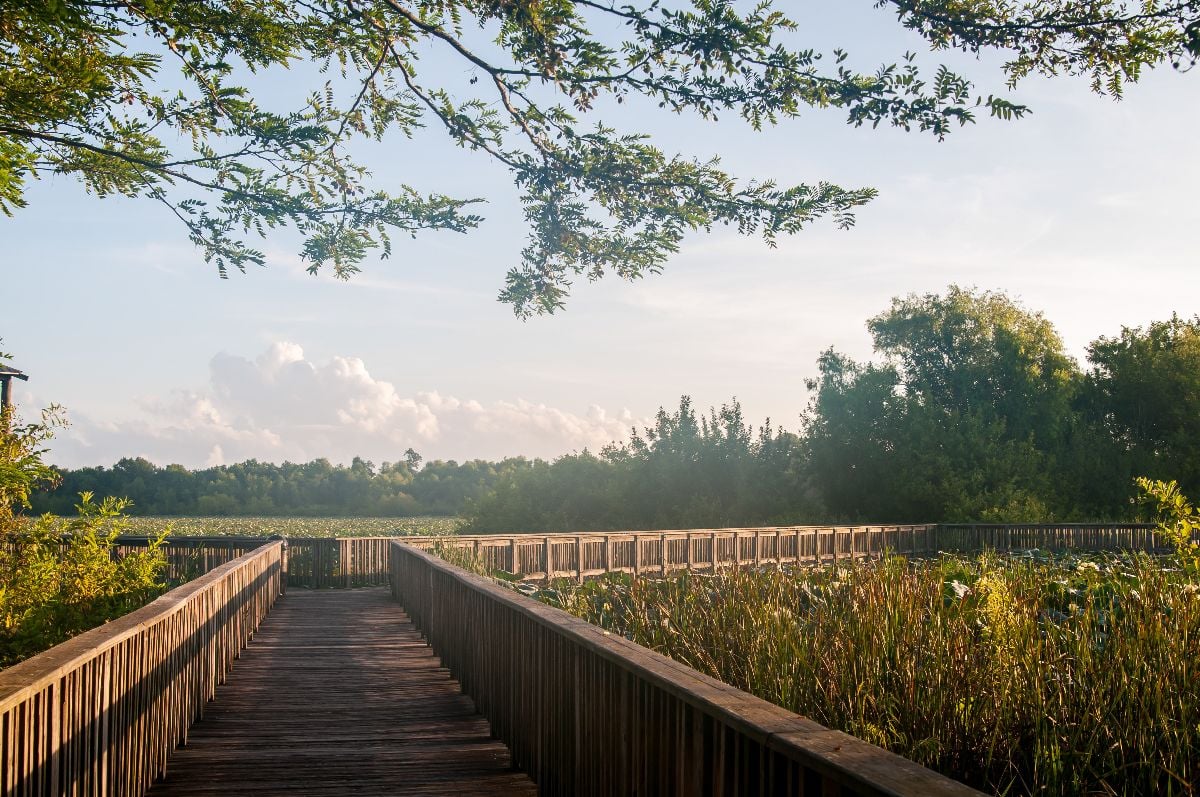 Cullinan park in Houston.