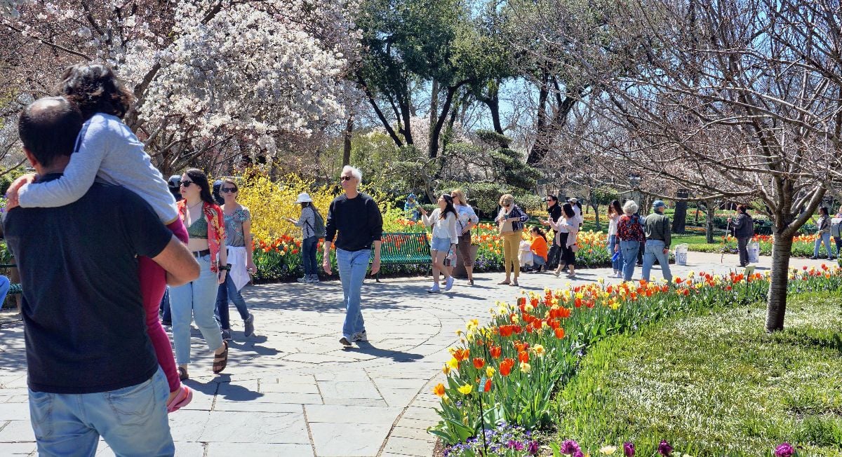 Crowd exploring the Dallas Arboretum Garden.