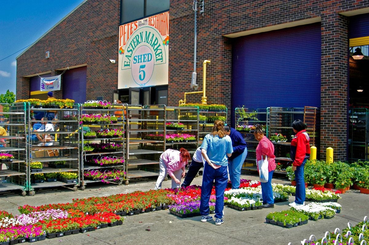 Beds of flowers and plants in Eastern Market.