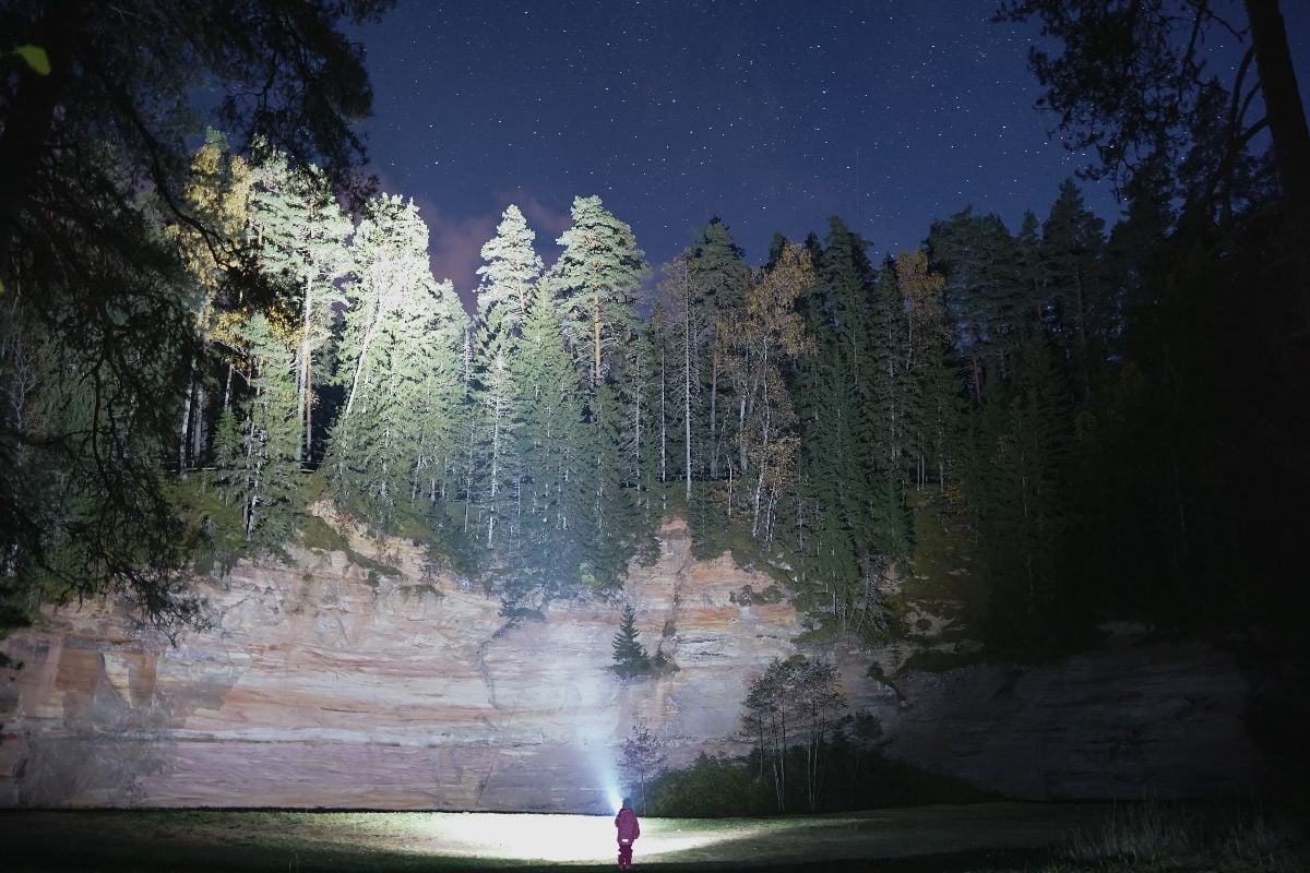 Little girl with flashlight outdoors.
