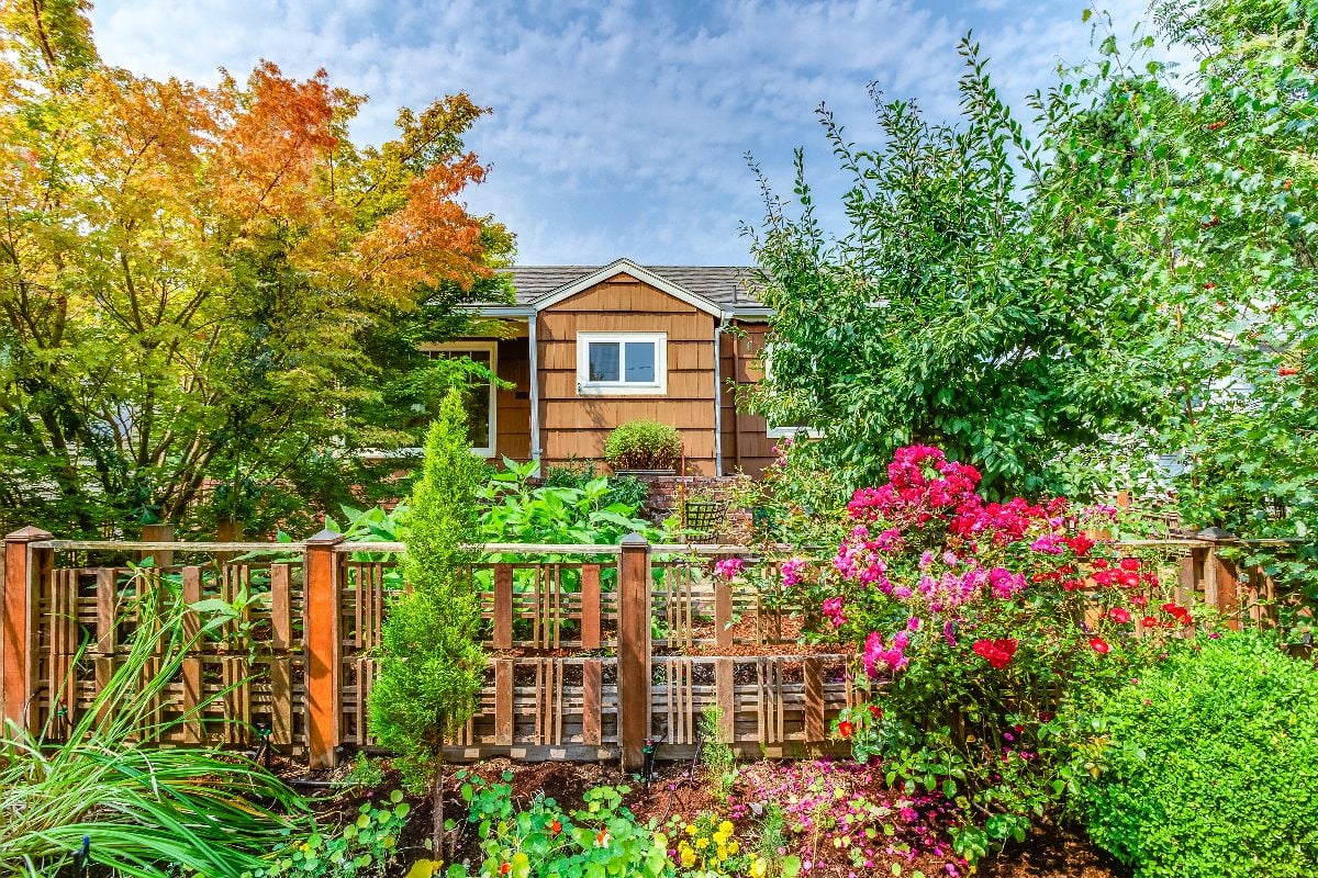 Front yard garden in Portland.