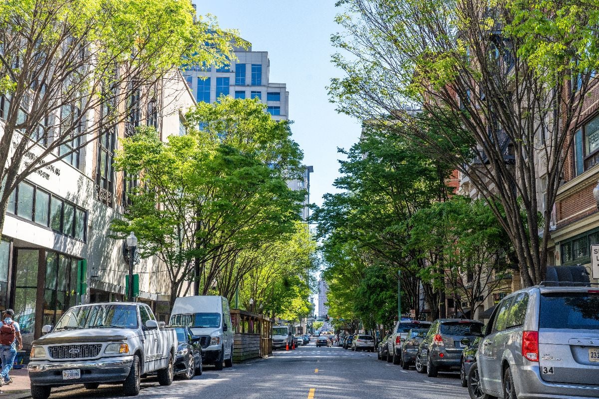 Downtown Norfolk Virginia Granby Street lined with trees.
