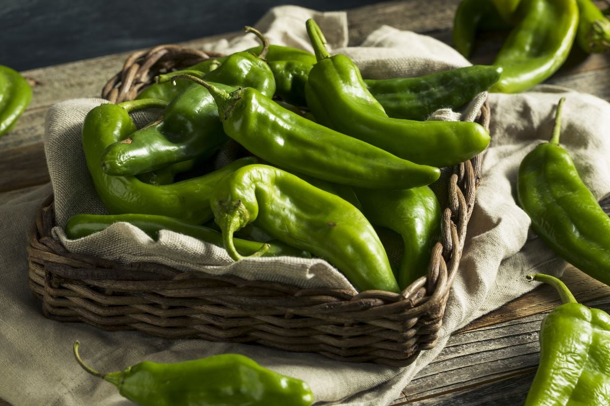Raw green spicy hatch peppers in a basket.