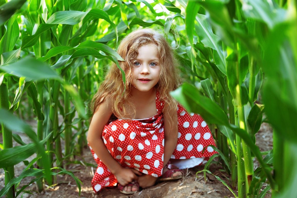 Little girl hiding in the corn field.