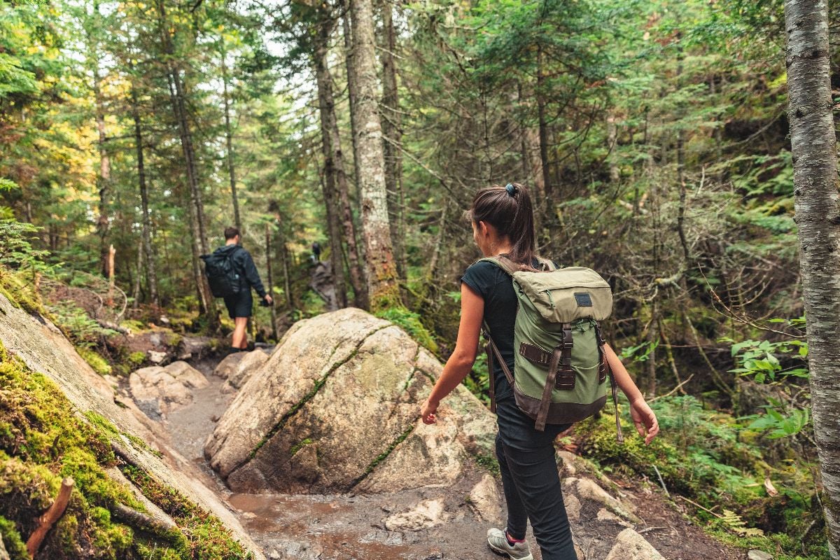 Hikers walking on forest trail with camping backpacks.