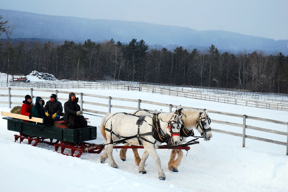 Traveling through horse drawn sleigh.