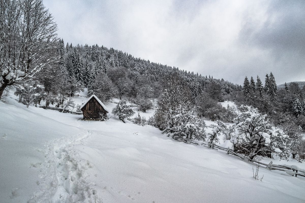 Isolated cabin in the snow.