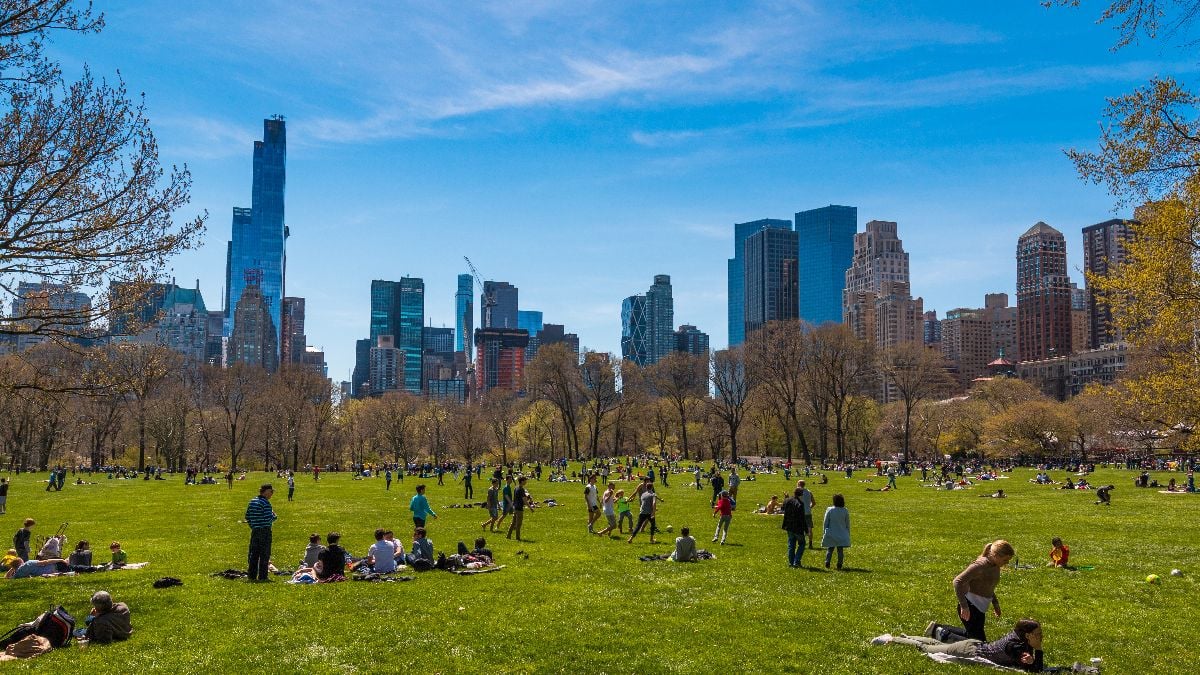 Sheep Meadow, Central Park