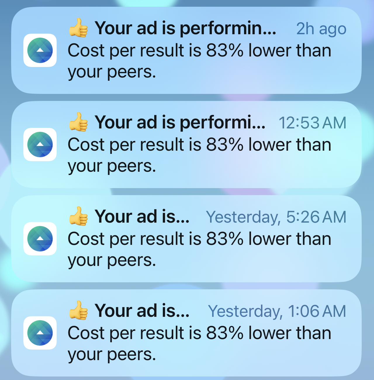 Additional Facebook Ads Performance Results