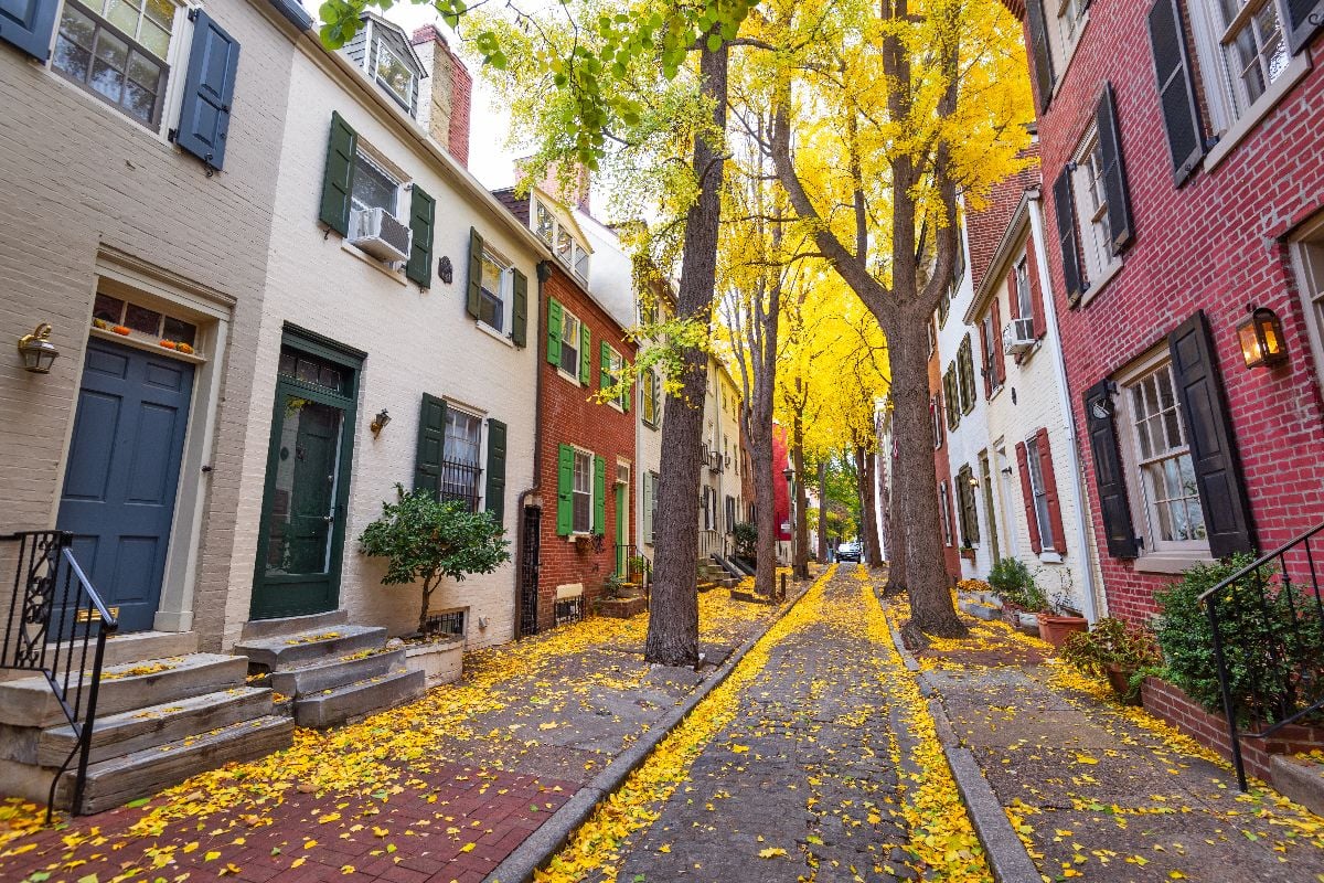 Autumn alleyway in a traditional neighborhood in Philadelphia.