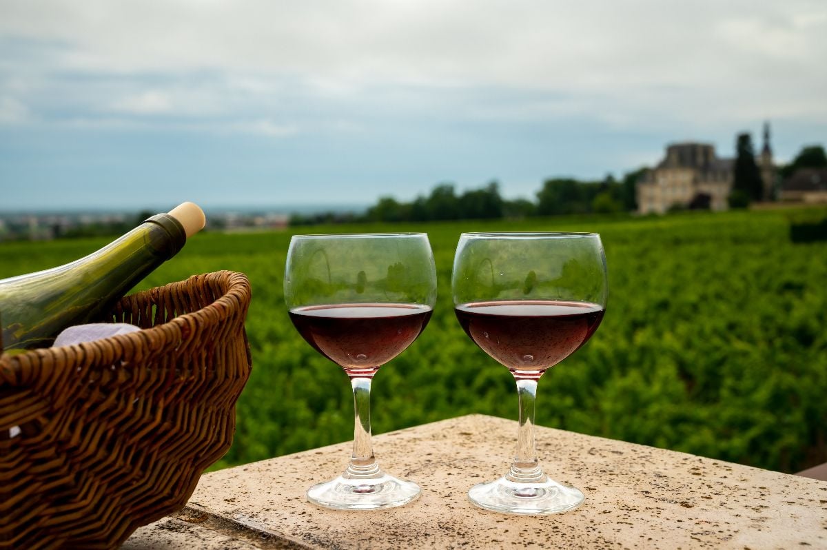 Tasting of red dry pinot noir wine in glasses on a vineyard.