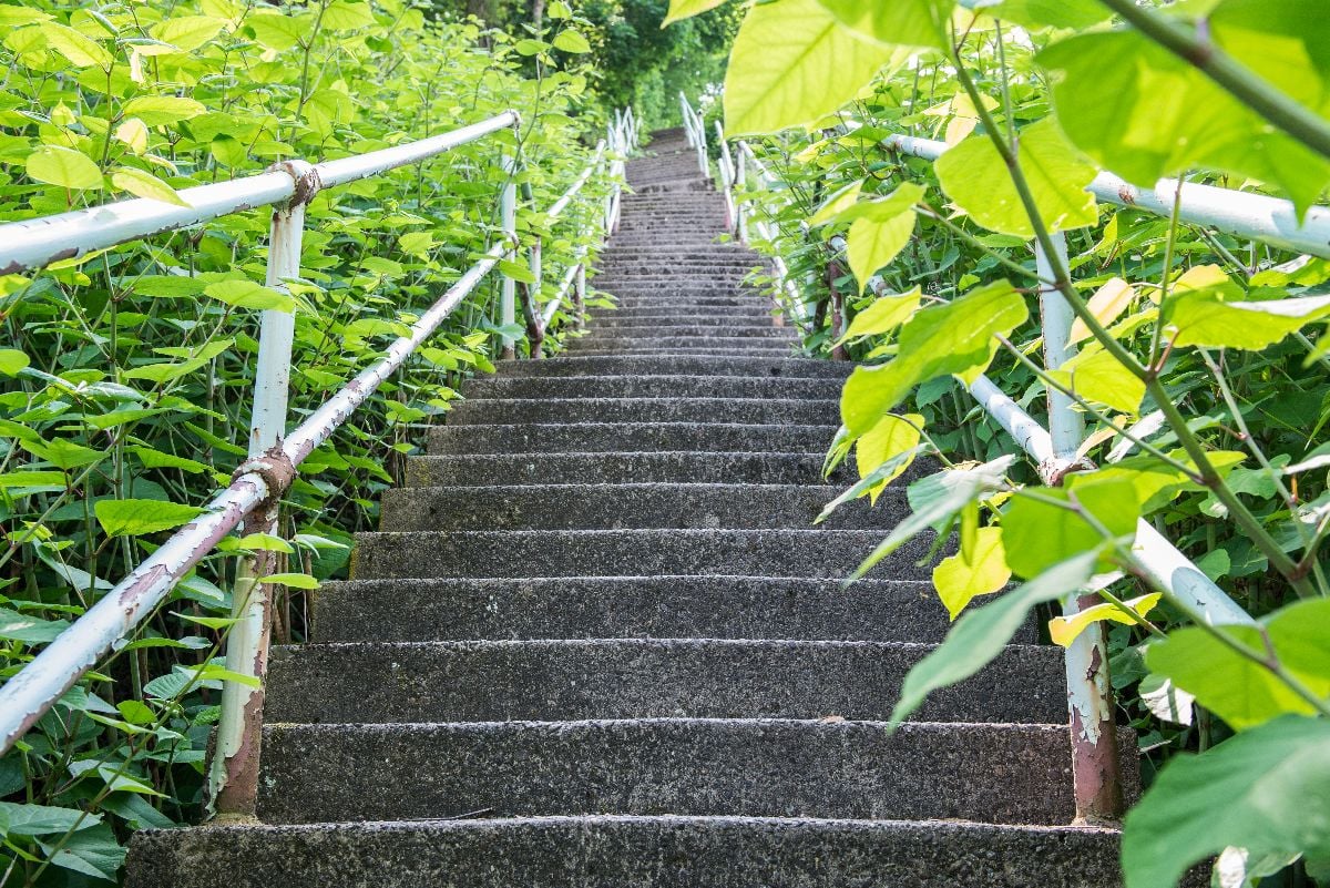 A long set of stairs outside in Pittsburgh.