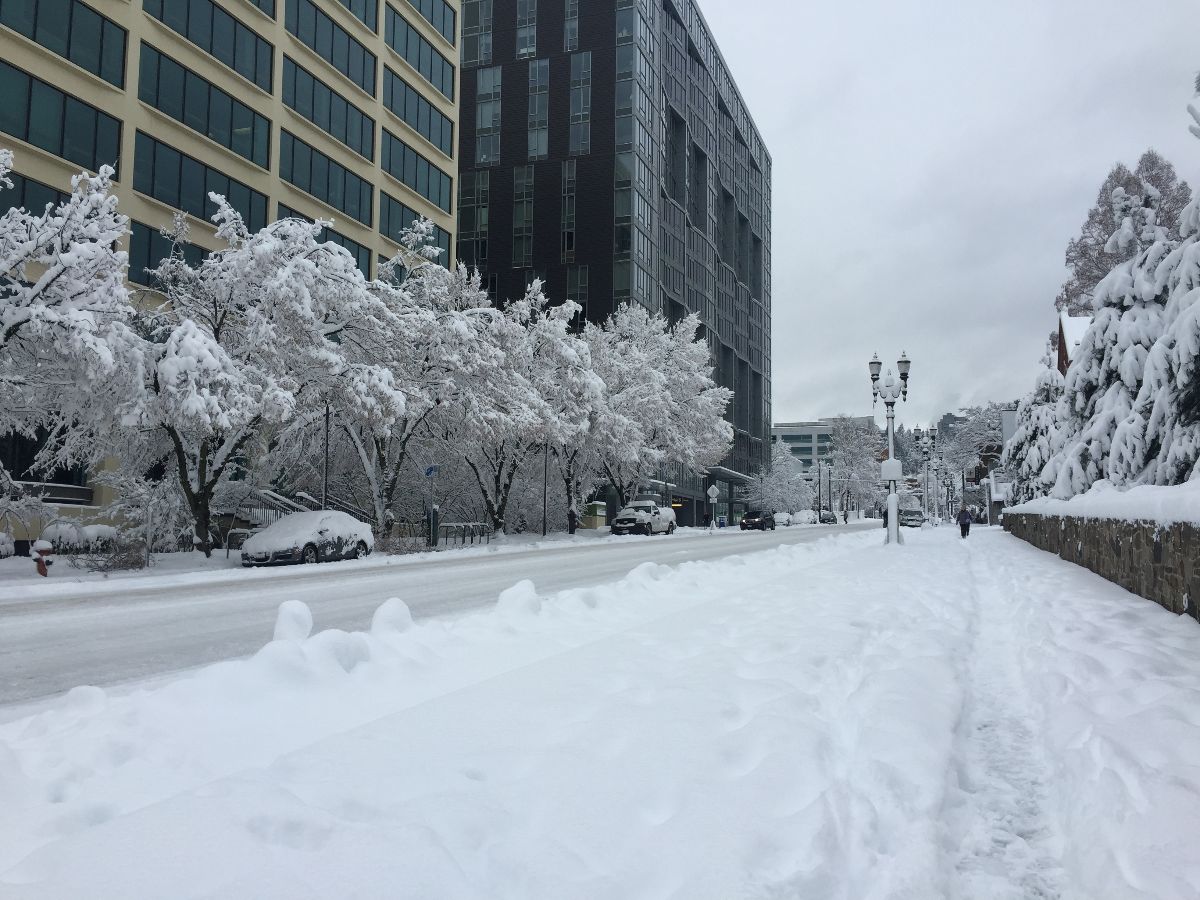 Portland winter snow day