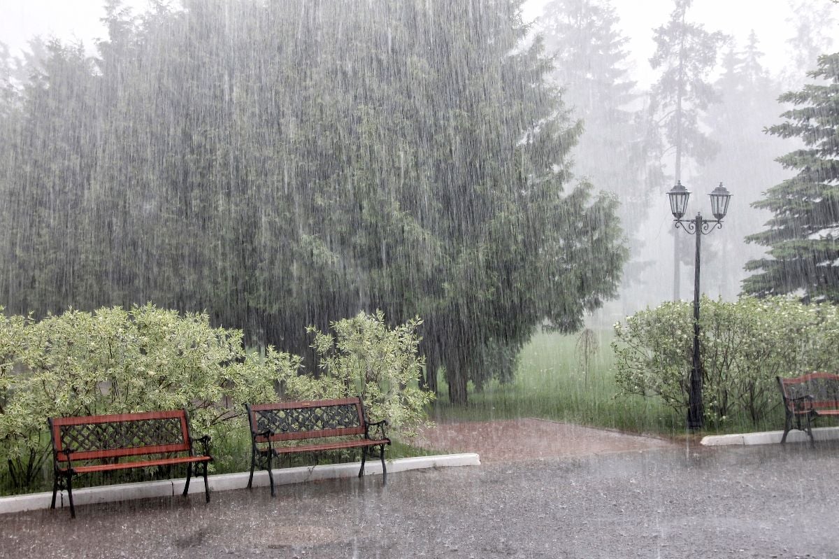 Rain with hail on a summer day. 