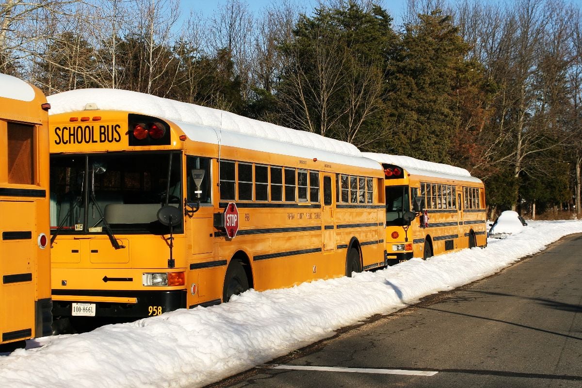 Parked school buses in snow.
