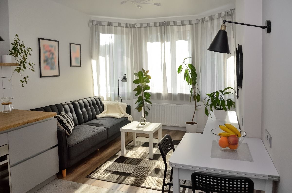Scandinavian studio apartment with living and dining areas.