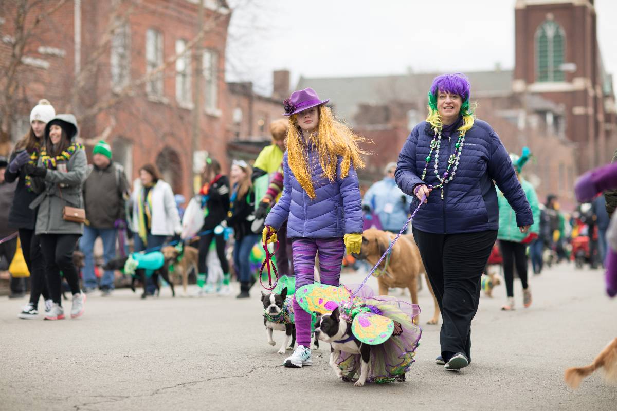 The Begging Pet Parade, a part of the Soulard neighborhood Mardi gras celebrations in St. Louis.
