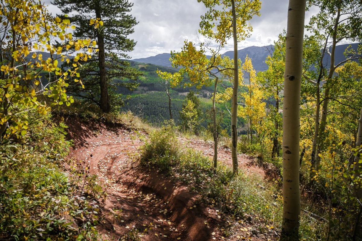 View of switchback on mountain biking trail in Crested Butte.
