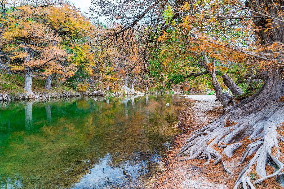 Serene riverbank with autumn trees reflecting fall colors in clear water at Guadalupe River State Park.