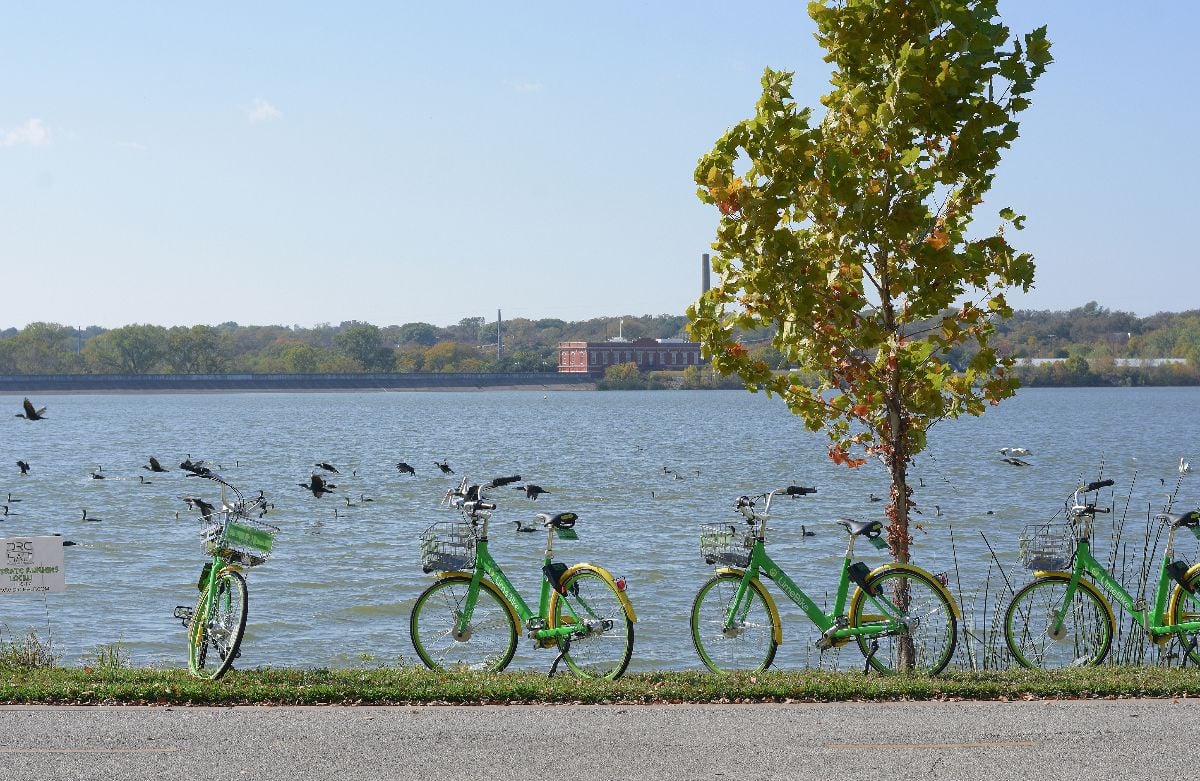Limebike service at White Rock Lake, Dallas