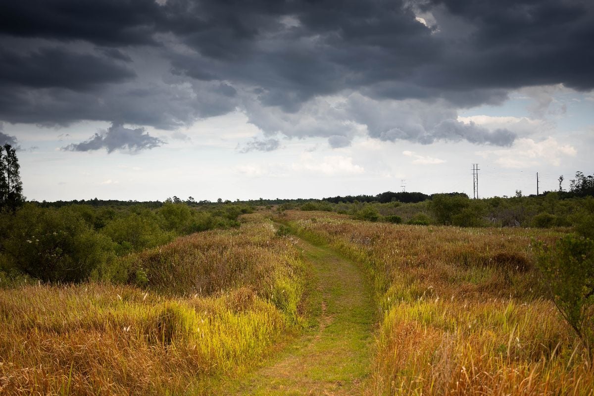 Stormy Florida summer afternoon sky.
