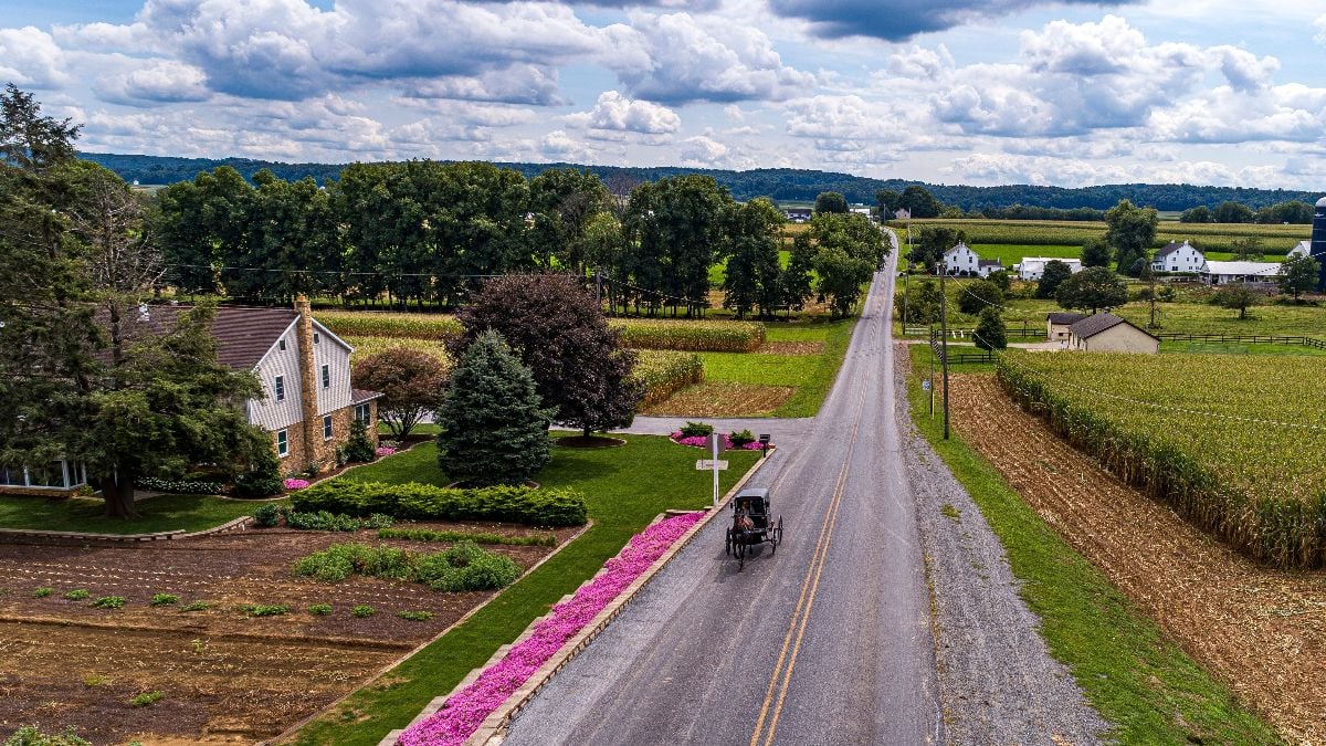 An aerial view of an amish horse and buggy travel.