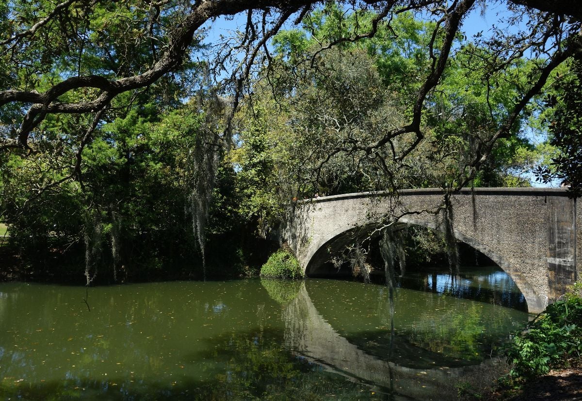 A bridge and trees with Spanish moss in Audubon Park, New Orleans.