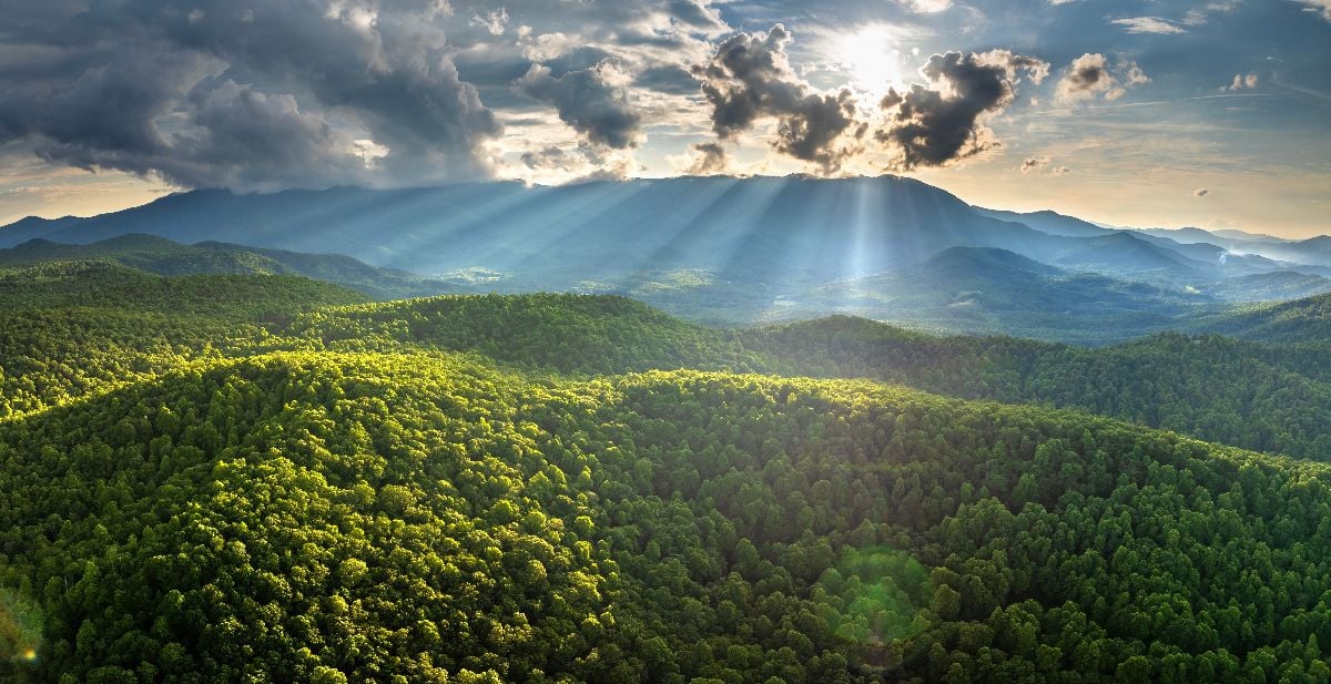 Bright sunrise in North Carolina Blue Ridge Mountains in summer season.