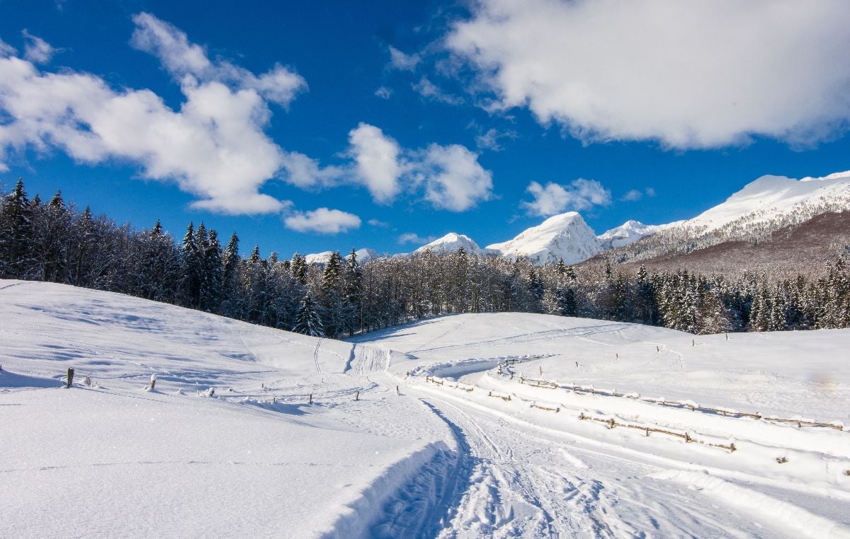 The snow-covered mountain road enters the forest.