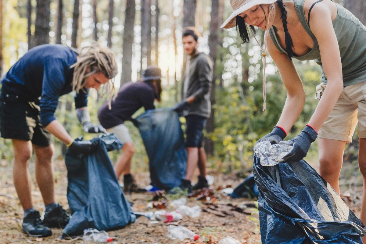 Volunteers helping to clean forest from litter.