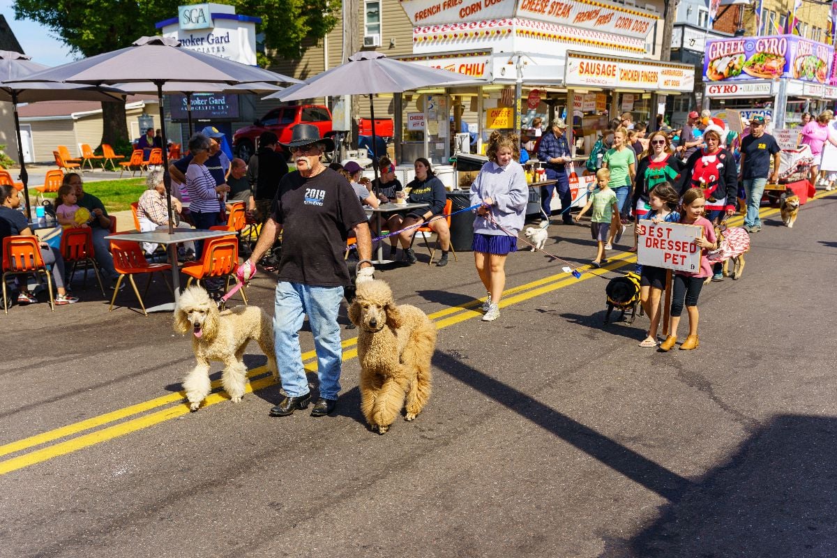 Dog parade on county fair in Philadelphia.