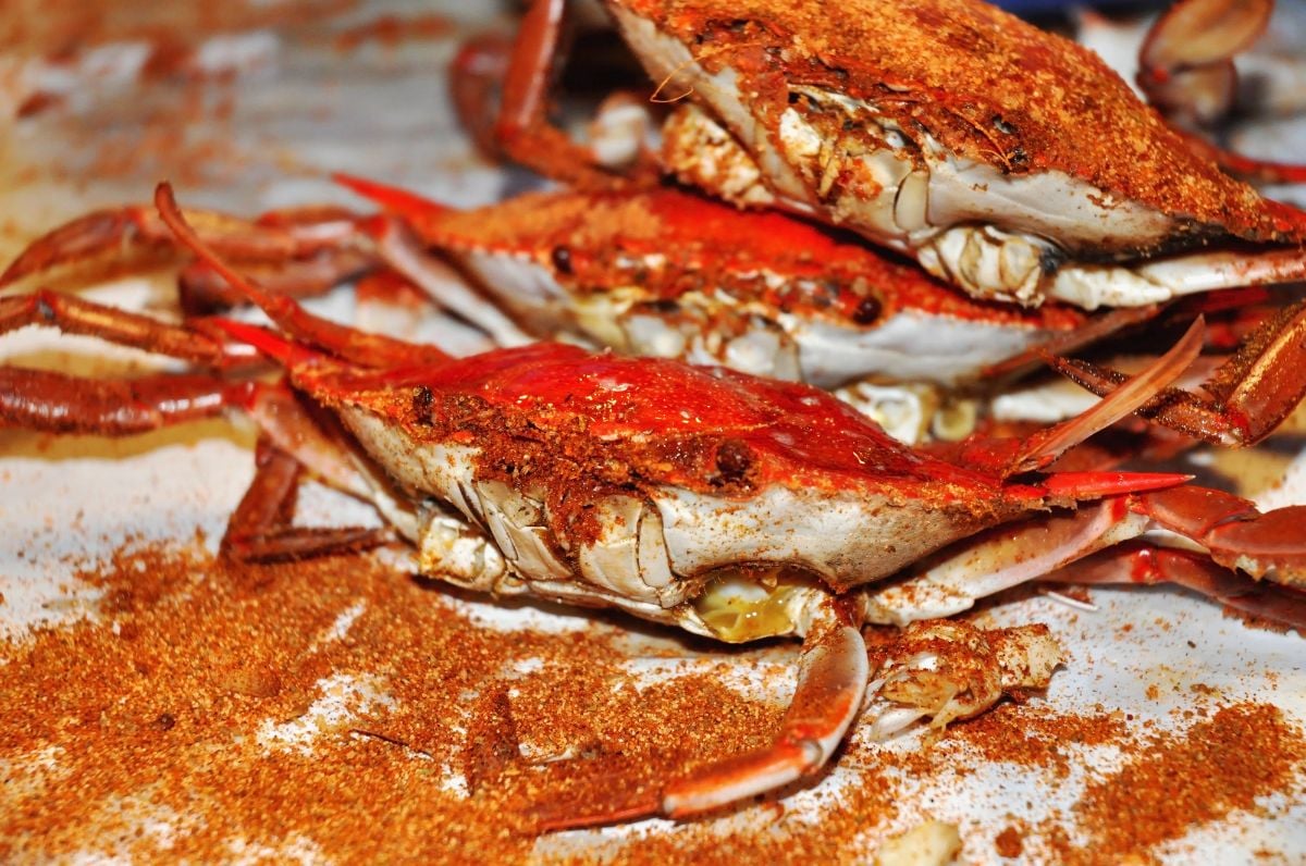 Steamed Maryland Blue Crabs