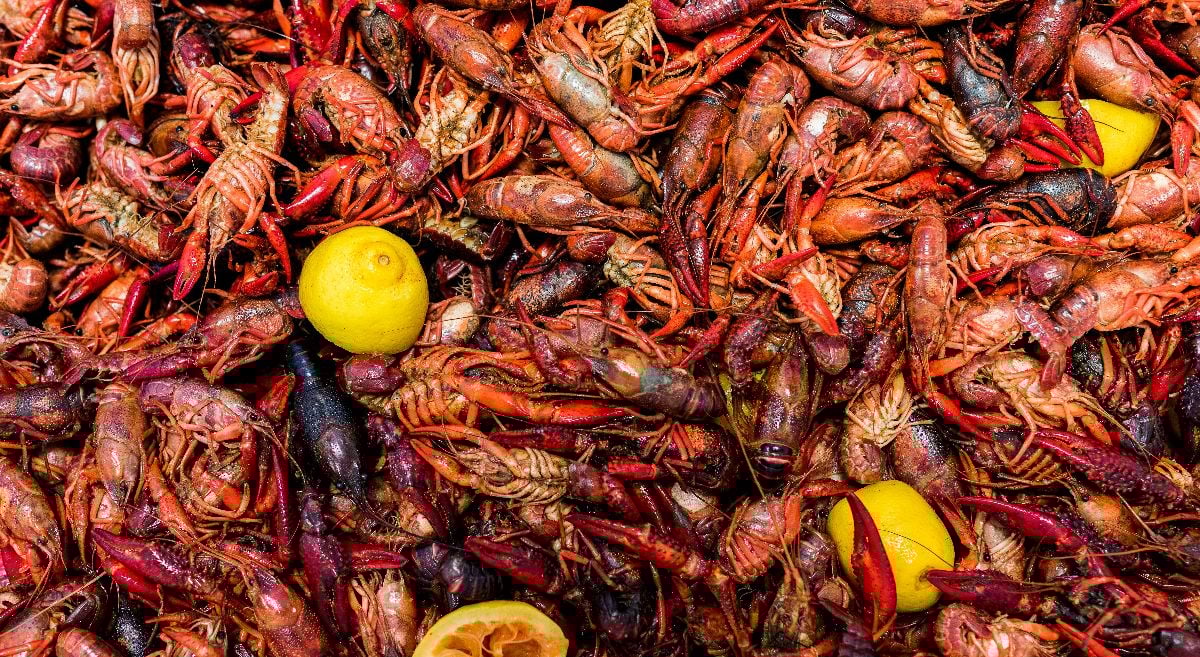 Crawfish Boil on the Bayou.
