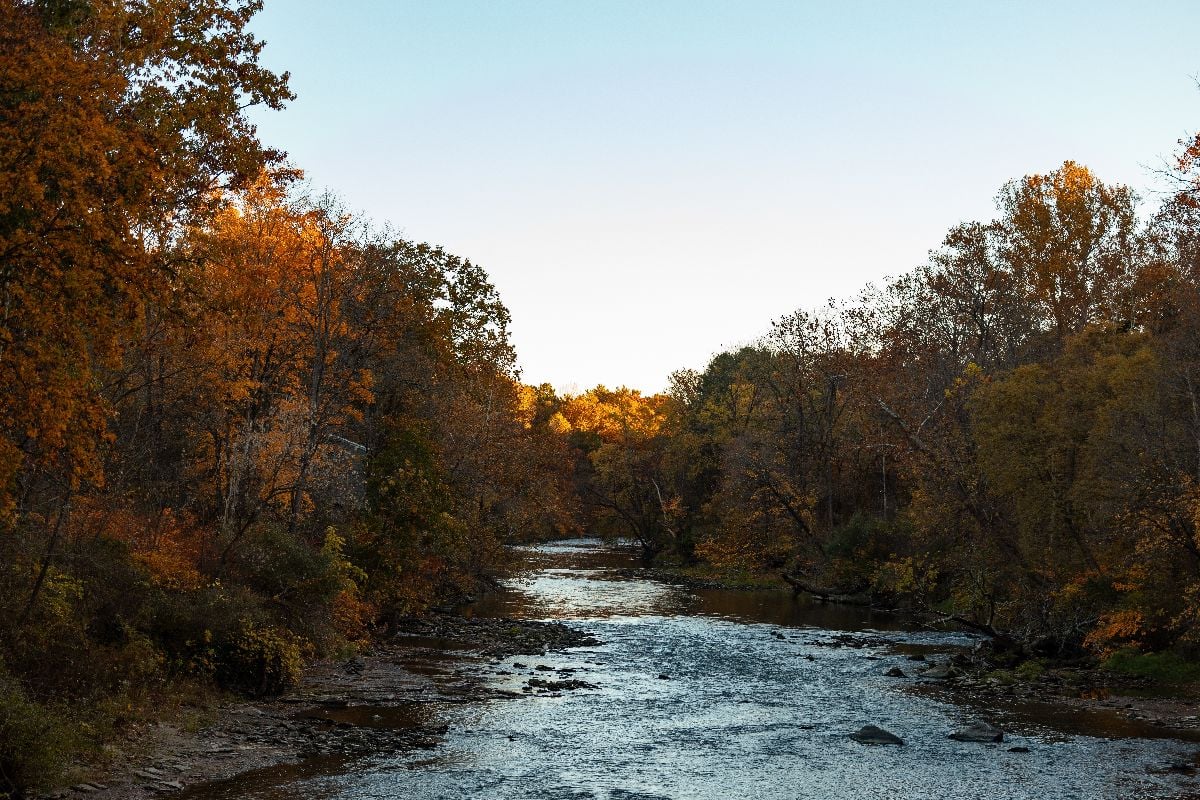 Cuyahoga river running through a forrest of peak foliage.