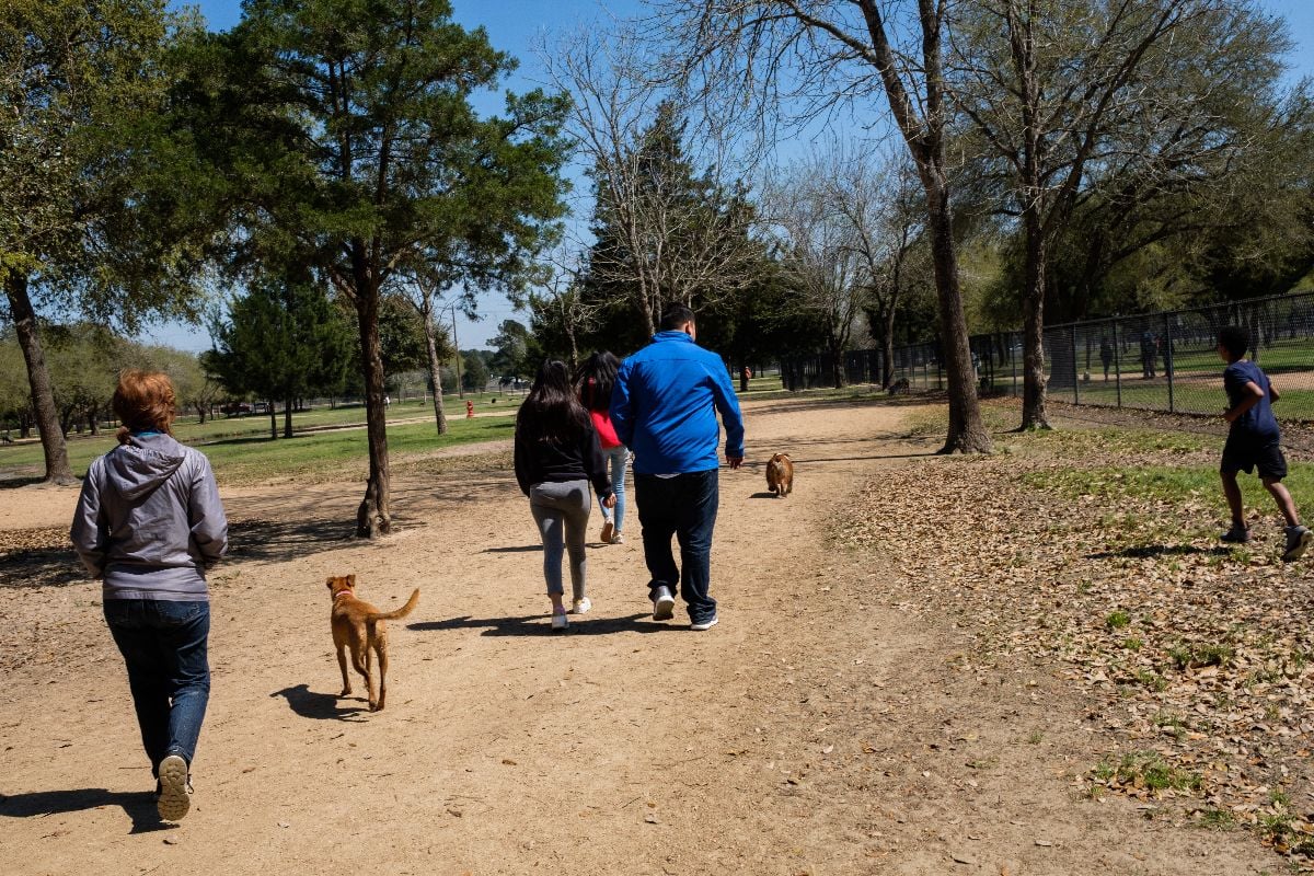 A view of Congressman Bill archer dog park in Houston.